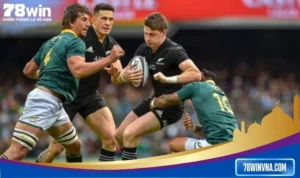 3 yếu tố cần nắm chắc khi cược Bóng bầu dục